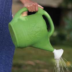 wisewatering1
